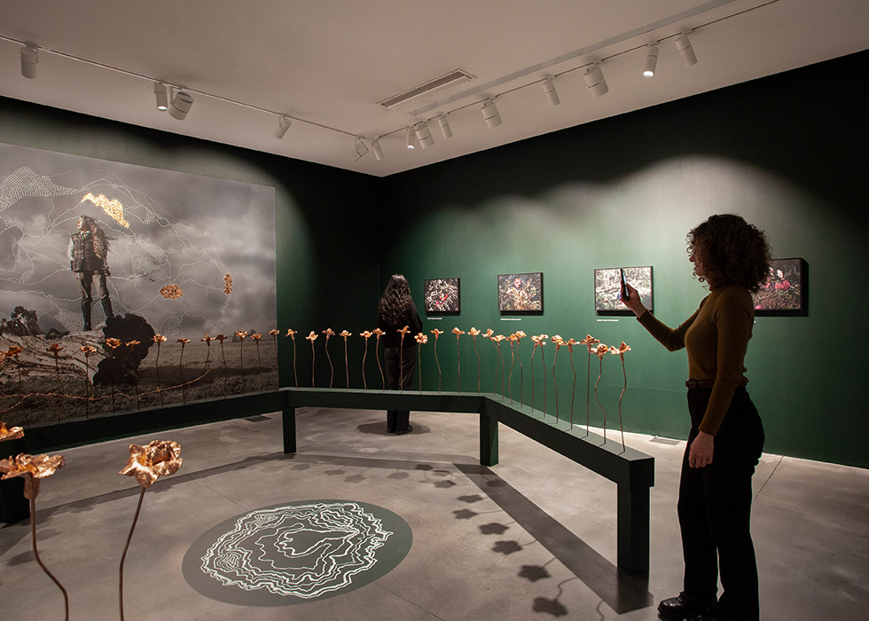 Guided Exhibition Tours for Schools and Groups